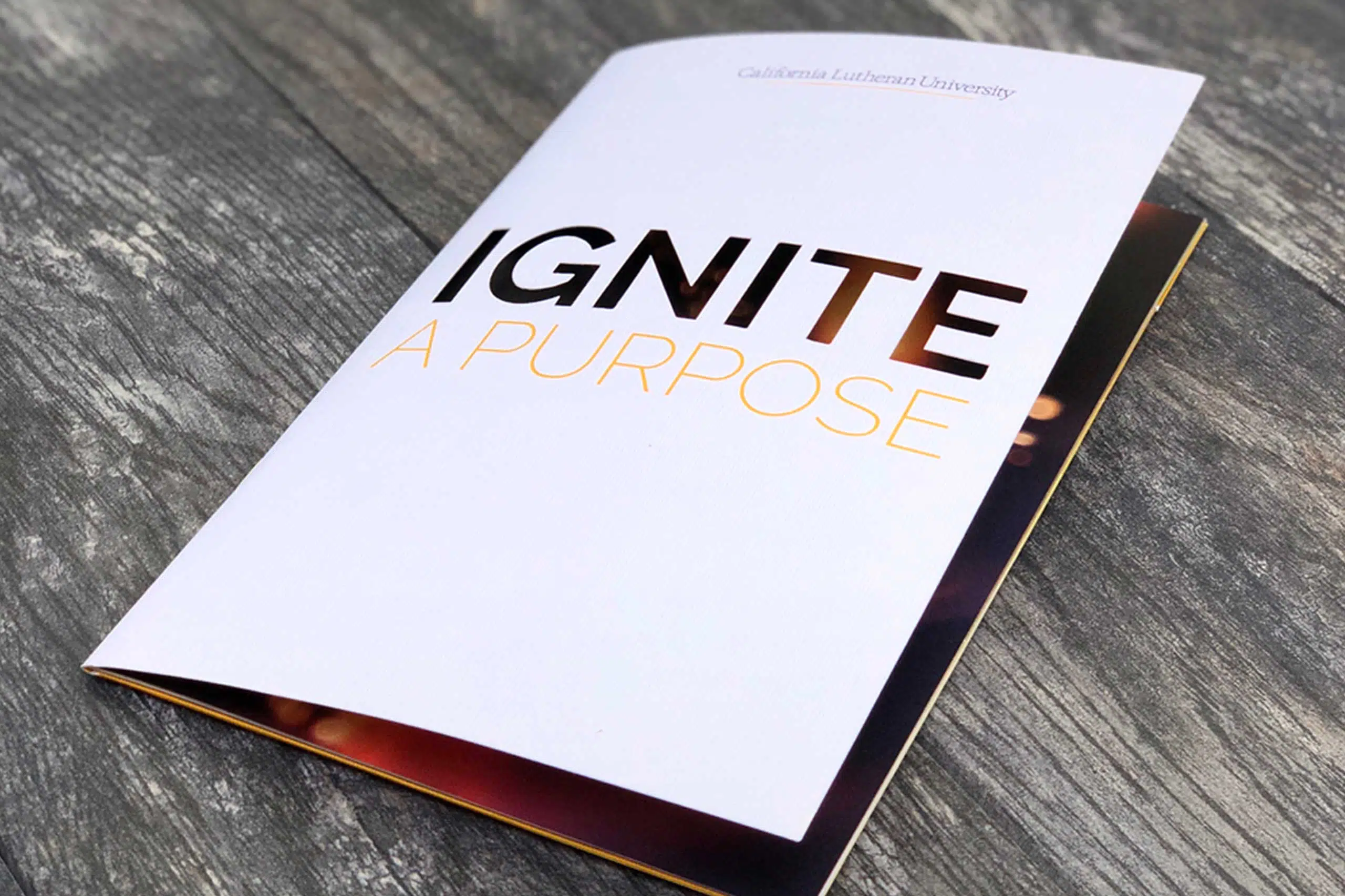 Graphic Design for CLU Ignite with Purpose