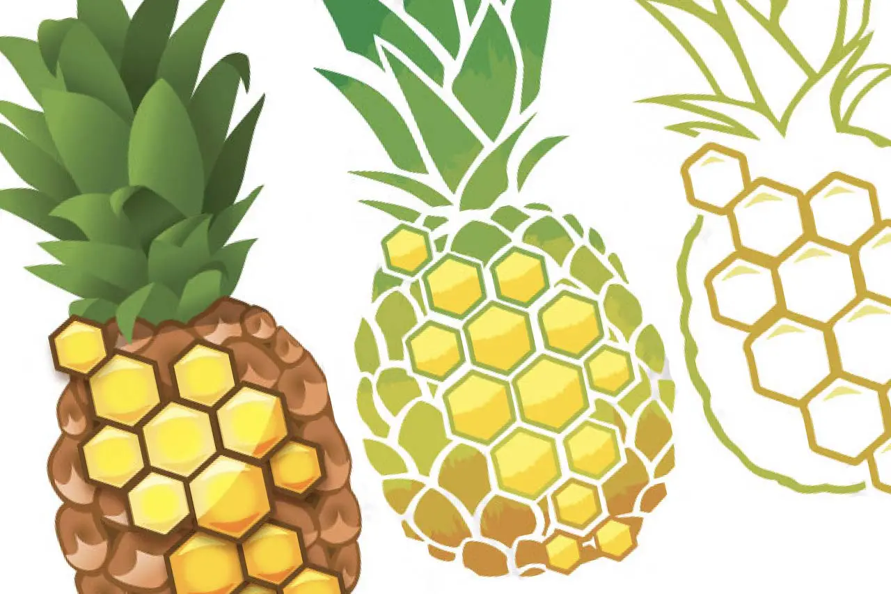 Graphic Design of Illustrated Pineapples as logo